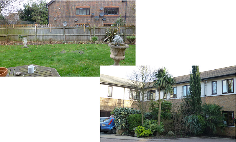 Overlapped images of front and back gardens looking overgrown